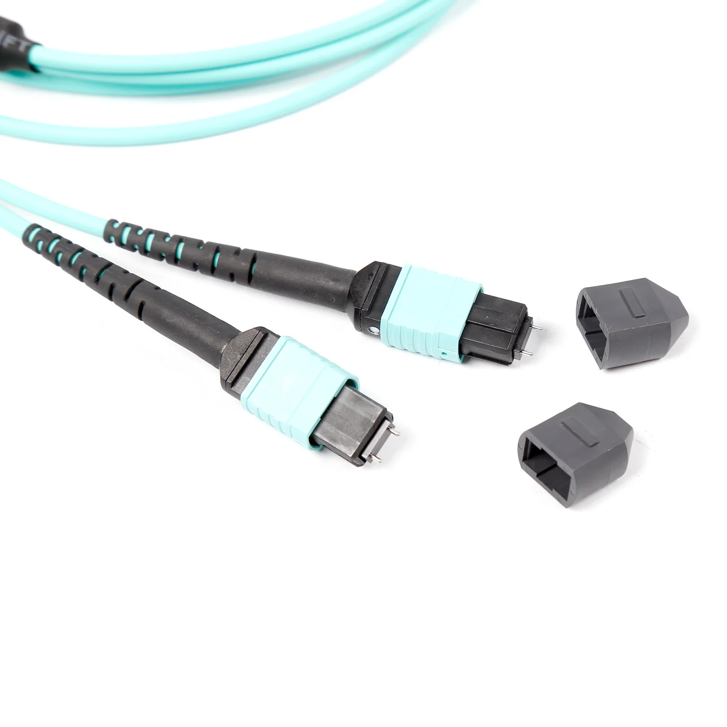NSComm MPO 12F to 2xMPO 4F APC Breakout Cables, 8 Fibers, Multimode (OM3), OFNR, Low Loss, Polarity Type B - Image 4